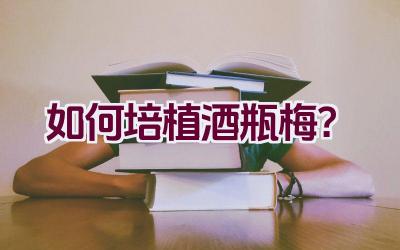 如何培植酒瓶梅?插图 如何培植酒瓶梅?插图
