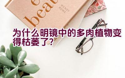 为什么明镜中的多肉植物变得枯萎了？插图