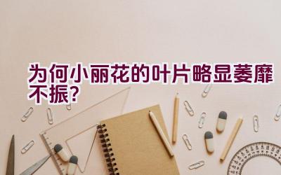 为何小丽花的叶片略显萎靡不振？插图