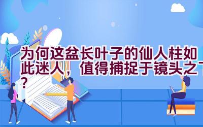 为何这盆长叶子的仙人柱如此迷人，值得捕捉于镜头之下？插图