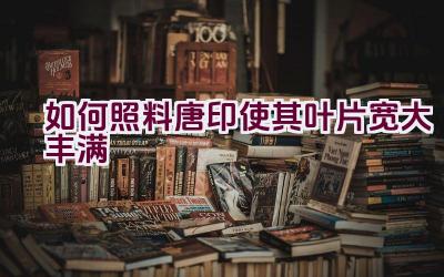 如何照料唐印使其叶片宽大丰满插图