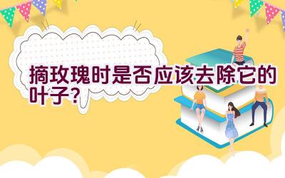 摘玫瑰时是否应该去除它的叶子?插图 摘玫瑰时是否应该去除它的叶子?插图
