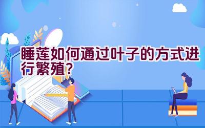 睡莲如何通过叶子的方式进行繁殖？插图