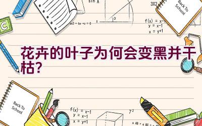 花卉的叶子为何会变黑并干枯?插图 花卉的叶子为何会变黑并干枯?插图