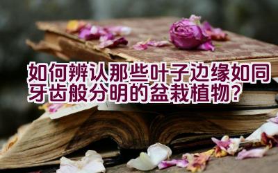 如何辨认那些叶子边缘如同牙齿般分明的盆栽植物？插图