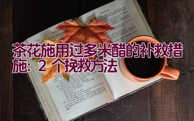 茶花施用过多米醋的补救措施：2个挽救方法插图