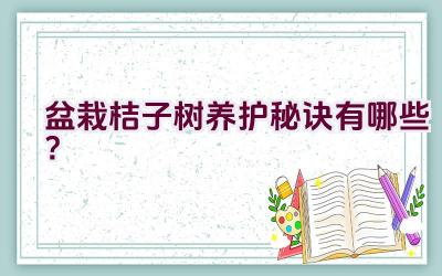 盆栽桔子树养护秘诀有哪些？插图