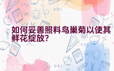 如何妥善照料鸟巢菊以使其鲜花绽放？插图