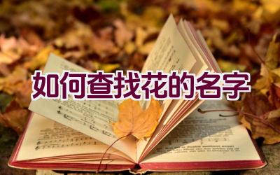 如何查找花的名字插图