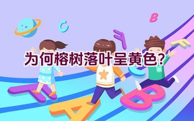 为何榕树落叶呈黄色？插图