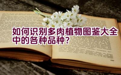 如何识别多肉植物图鉴大全中的各种品种？插图