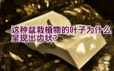 这种盆栽植物的叶子为什么呈现出齿状？插图