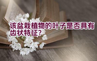 该盆栽植物的叶子是否具有齿状特征？插图