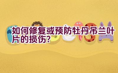 如何修复或预防牡丹吊兰叶片的损伤？插图