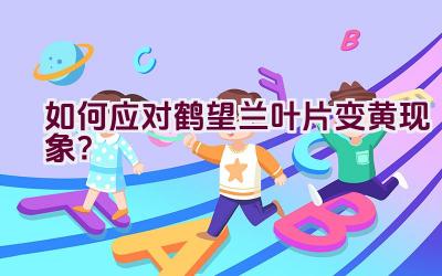 如何应对鹤望兰叶片变黄现象？插图