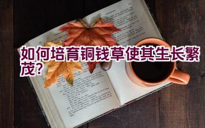 如何培育铜钱草使其生长繁茂？插图