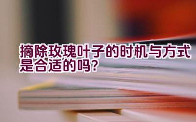 摘除玫瑰叶子的时机与方式是合适的吗？插图