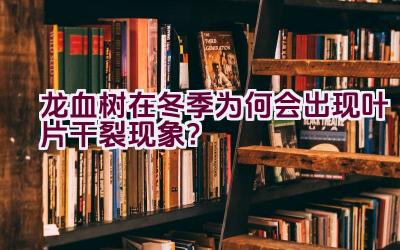 龙血树在冬季为何会出现叶片干裂现象？插图