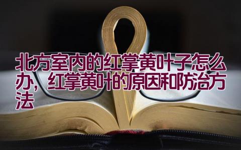 北方室内的红掌黄叶子怎么办，红掌黄叶的原因和防治方法插图