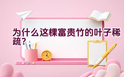 为什么这棵富贵竹的叶子稀疏？插图