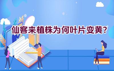 仙客来植株为何叶片变黄？插图