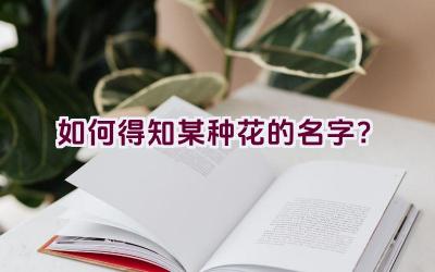 如何得知某种花的名字？插图