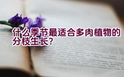 什么季节最适合多肉植物的分枝生长？插图