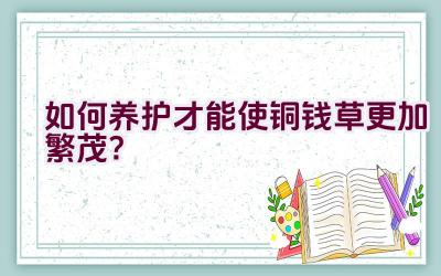 如何养护才能使铜钱草更加繁茂？插图