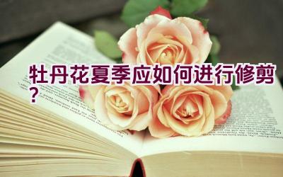 牡丹花夏季应如何进行修剪?插图 牡丹花夏季应如何进行修剪?插图