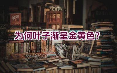 为何叶子渐呈金黄色？插图