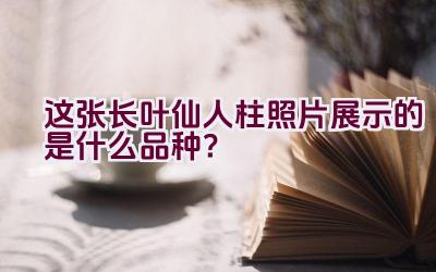 这张长叶仙人柱照片展示的是什么品种？插图