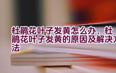 杜鹃花叶子发黄怎么办，杜鹃花叶子发黄的原因及解决方法插图