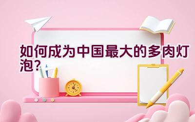 如何成为中国最大的多肉灯泡?插图 如何成为中国最大的多肉灯泡?插图