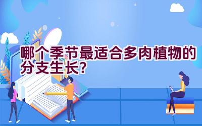 哪个季节最适合多肉植物的分支生长？插图