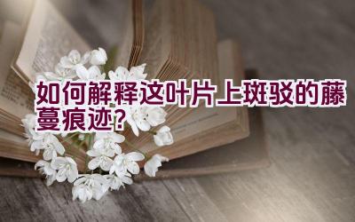 如何解释这叶片上斑驳的藤蔓痕迹？插图