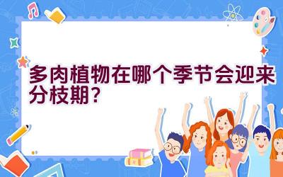 多肉植物在哪个季节会迎来分枝期？插图