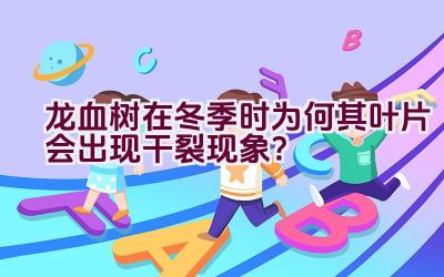 龙血树在冬季时为何其叶片会出现干裂现象？插图