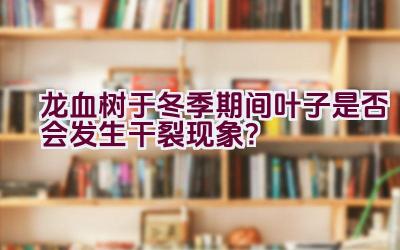 龙血树于冬季期间叶子是否会发生干裂现象？插图