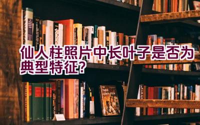 仙人柱照片中长叶子是否为典型特征？插图