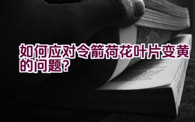 如何应对令箭荷花叶片变黄的问题？插图