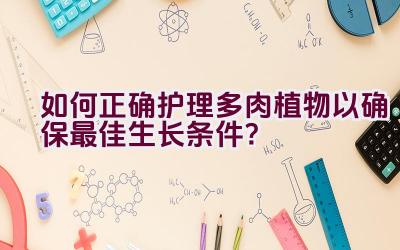 如何正确护理多肉植物以确保最佳生长条件？插图