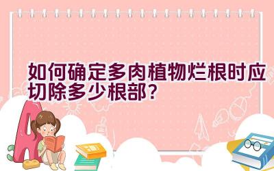 如何确定多肉植物烂根时应切除多少根部？插图