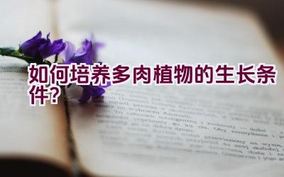 如何培养多肉植物的生长条件?插图 如何培养多肉植物的生长条件?插图