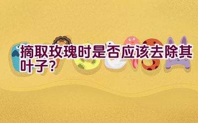 摘取玫瑰时是否应该去除其叶子？插图