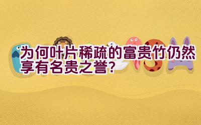 为何叶片稀疏的富贵竹仍然享有名贵之誉？插图