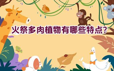 火祭多肉植物有哪些特点？插图