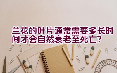 兰花的叶片通常需要多长时间才会自然衰老至死亡？插图