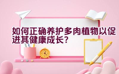 如何正确养护多肉植物以促进其健康成长？插图