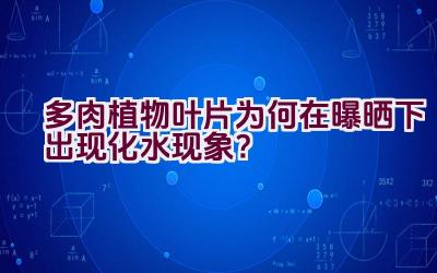 多肉植物叶片为何在曝晒下出现化水现象？插图