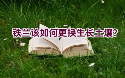 铁兰该如何更换生长土壤?插图 铁兰该如何更换生长土壤?插图